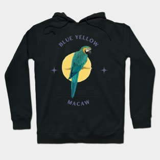 Blue Yellow Macaw Hoodie